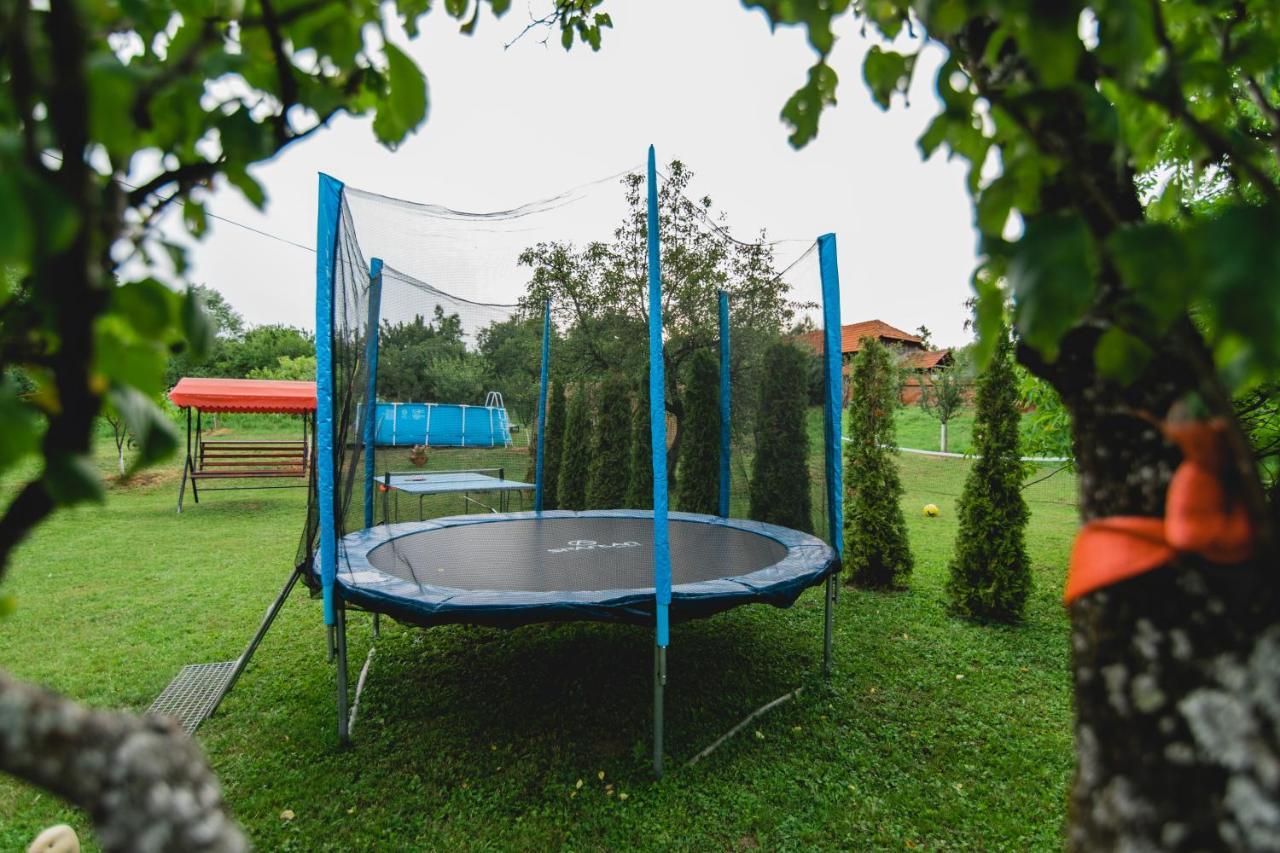 Pensiunea Alexia Novaci-Straini Exterior photo